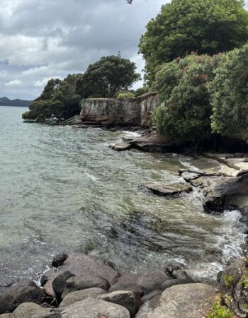 One Tree Point Esplanade (coastal waterwalk)