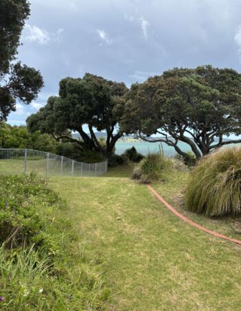 One Tree Point Esplanade (coastal waterwalk)