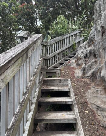 One Tree Point Esplanade (coastal waterwalk)
