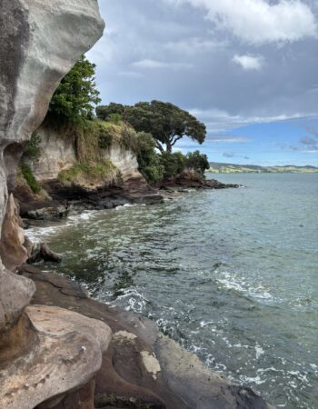 One Tree Point Esplanade (coastal waterwalk)
