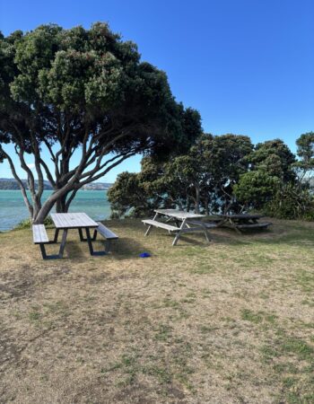 One Tree Point Esplanade (coastal waterwalk)