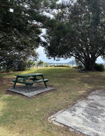 One Tree Point Boat Ramp
