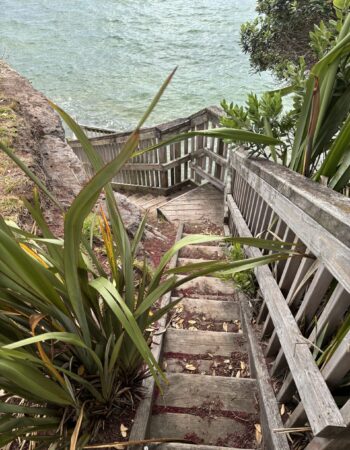 One Tree Point Esplanade (coastal waterwalk)