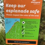 One Tree Point Esplanade (coastal waterwalk)