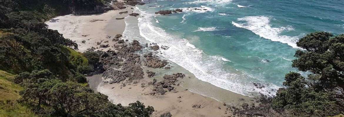 Mangawhai Cliffs Walkway
