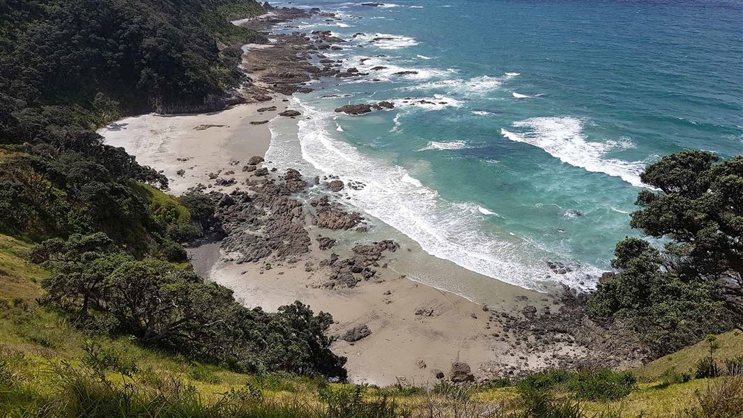 Mangawhai Cliffs Walkway – Mai Place