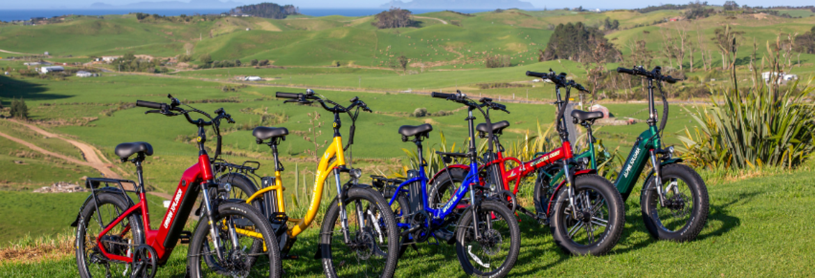 Smart Power Electric Bikes